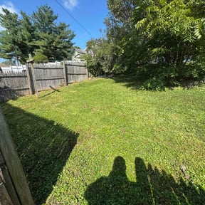 lawn maintenance by Native Landscapes Of Central Florida LLC reviewed on November 7, 2023