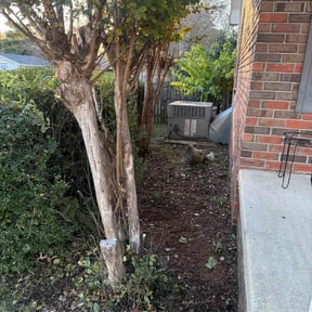 Flower Bed Weeding by R&amp;L Lawn care reviewed on November 22, 2025