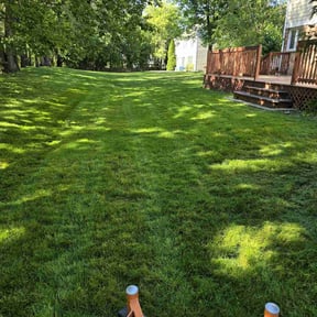 landscaping services by Lone Star Landscaping Group 2919 reviewed on August 19, 2025