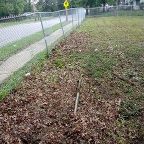 Leaf Removal by Alpha Landscape & Design reviewed on August 15, 2025