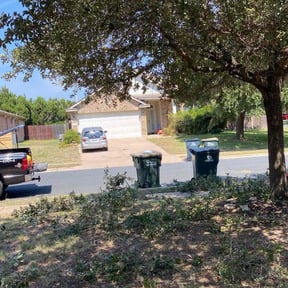 Bush Trimming by MSA Landscaping reviewed on November 8, 2025