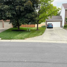turf maintenance by Rucker’s Lawn Care reviewed on August 18, 2025