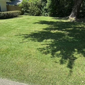 yard work by M L LANDSCAPING reviewed on August 16, 2025
