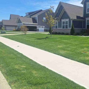 turf maintenance by YOM Lawn and Landscaping reviewed on October 2, 2023