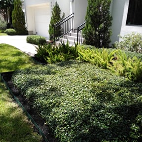 Flower Bed Weeding by MNA Lawn Care reviewed on August 21, 2025