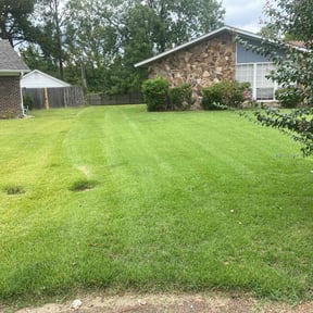 landscaping by Emergency Lawn Care reviewed on August 20, 2025