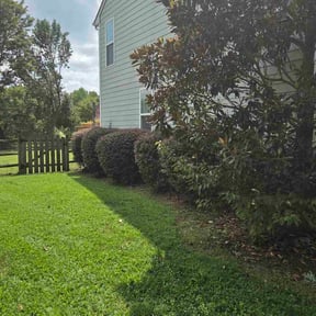 grass maintenance by TC&#039;s Outdoor Services, LLC reviewed on August 10, 2025