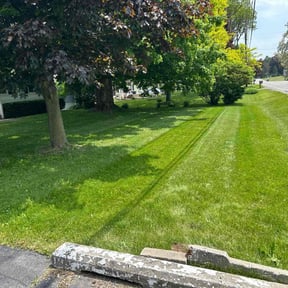 landscaping services by TAKE OVER LANDSCAPING&amp;SNOW reviewed on August 18, 2025