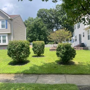 yard care by Mow N Geaux reviewed on August 19, 2025