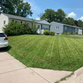 yard service by We Can Do It Landscaping and Handyman Services LLC reviewed on August 14, 2025