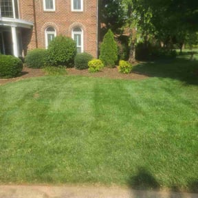 gardening service by Wildcat Lawncare reviewed on August 19, 2025
