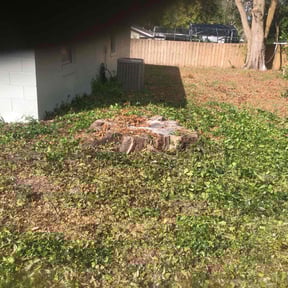Bush Trimming by Armstrong's Lawn Care Plus reviewed on August 16, 2025