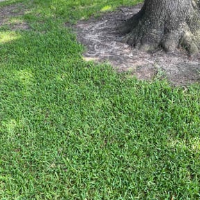 landscaping services by Freel's Lawn Care reviewed on August 17, 2025