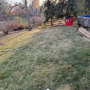 Leaf Removal by S&amp;S Landscaping reviewed on November 19, 2025