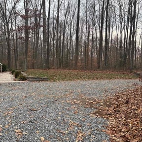 Leaf Removal by Bush GODZ Landscaping reviewed on October 13, 2026
