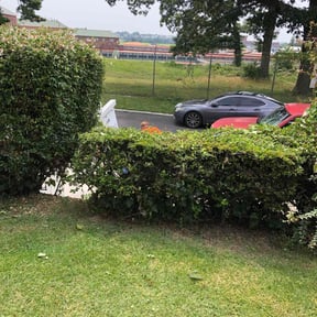 Bush Trimming by Rogelios reviewed on November 8, 2025