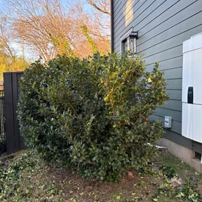 Bush Trimming by EPC landscaping llc reviewed on November 25, 2025