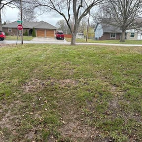 Leaf Removal by Terry and Family Management LLC reviewed on September 17, 2025