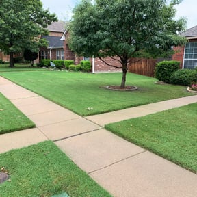 yard service by Double F Lawns reviewed on August 19, 2025