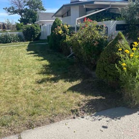 Bush Trimming by The lawn groomers reviewed on October 14, 2026