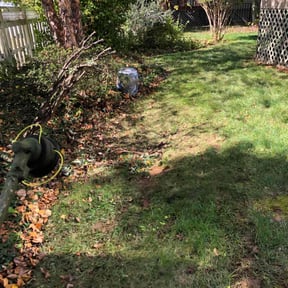 Bush Trimming by Landon Tipton reviewed on October 24, 2025