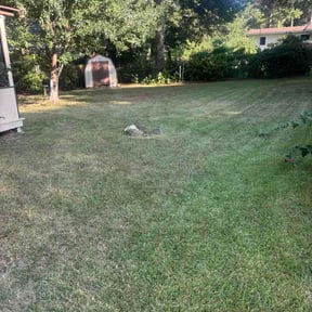Bush Trimming by Lawndudes reviewed on August 18, 2026