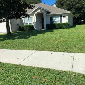 lawn care by Father and son handyman reviewed on December 8, 2020