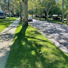 yard maintenance by Fiechtner Landscape Services reviewed on August 19, 2025