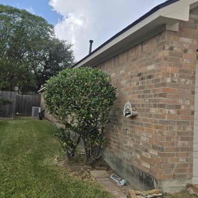 Bush Trimming by Advantage Landscaping reviewed on November 22, 2025