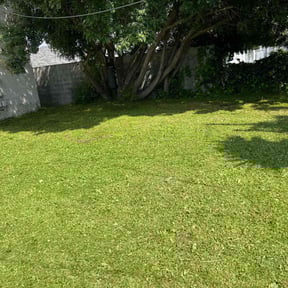 lawn maintenance by YellaRose Management LLC reviewed on April 26, 2024