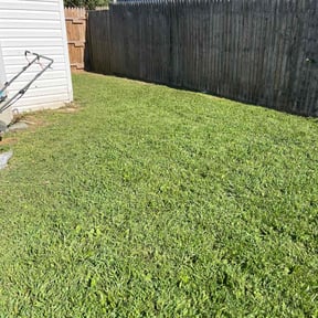 Leaf Removal by Legends lawn reviewed on July 26, 2022