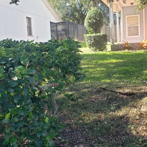 Bush Trimming by Mr.Carter's Landscaping reviewed on August 15, 2025