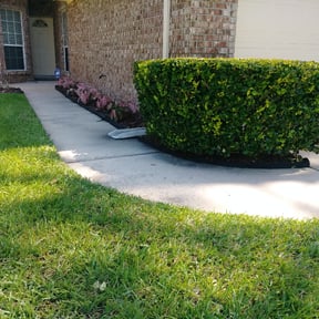 Bush Trimming by Re Image lawn care reviewed on August 18, 2025