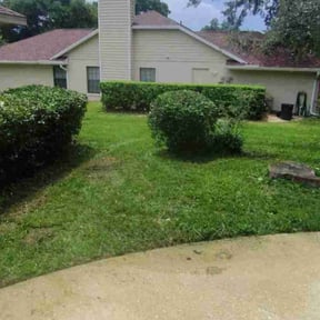 Bush Trimming by Chek'Rd Lawn Service reviewed on August 16, 2025