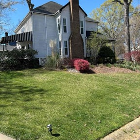 landscaping by Mr. Mower reviewed on August 19, 2025