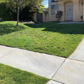 lawn care by Full Service Lawn Care reviewed on September 16, 2024