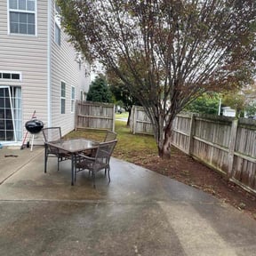 Leaf Removal by All American Lawn Service reviewed on September 26, 2025