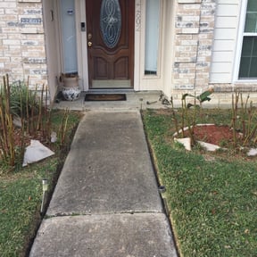 Bush Trimming by All around the world appliance and home repairs llc reviewed on August 17, 2025