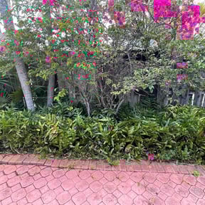 Bush Trimming by Pro Cut Lawns LLC reviewed on August 18, 2025