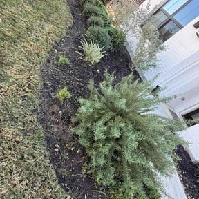 Flower Bed Weeding by Caliber Lawn and Garden reviewed on October 19, 2025