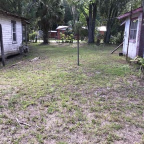 Bush Trimming by Emerald Green Lawn Service reviewed on August 17, 2025
