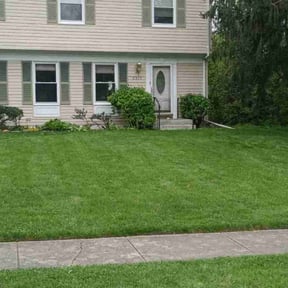 lawn service by Mow-2-Snow Yard Service reviewed on May 15, 2024