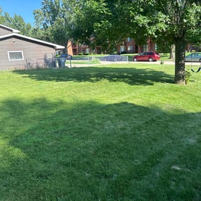 lawn care services by Gutter Magic reviewed on April 18, 2022