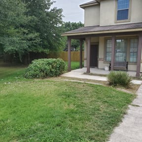 Bush Trimming by Blessings Lawn Care Services reviewed on August 21, 2025