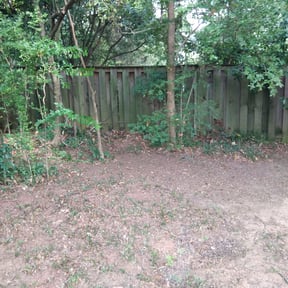 Leaf Removal by Just Handy reviewed on August 19, 2025