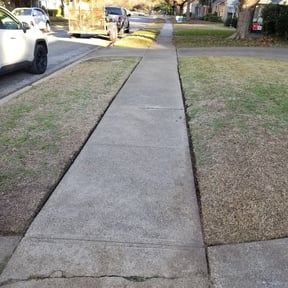 Leaf Removal by TH lawncare reviewed on August 16, 2025