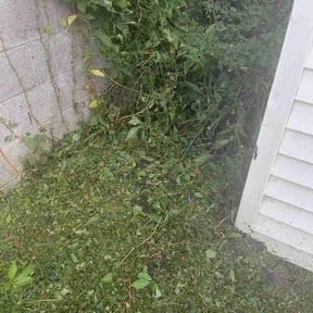 Bush Trimming by Ricky's Landscaping reviewed on August 16, 2026