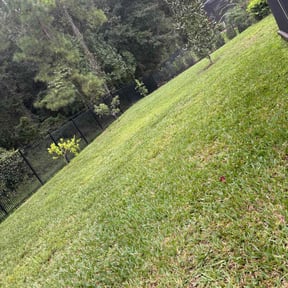 lawn care by Bo&#039;s lawn care reviewed on April 2, 2024