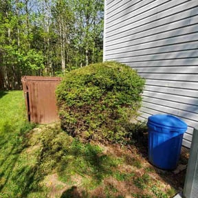 Bush Trimming by BnB So. Cal reviewed on November 25, 2025