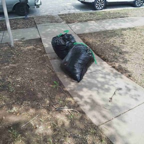 Leaf Removal by Dem Mowers reviewed on September 19, 2025